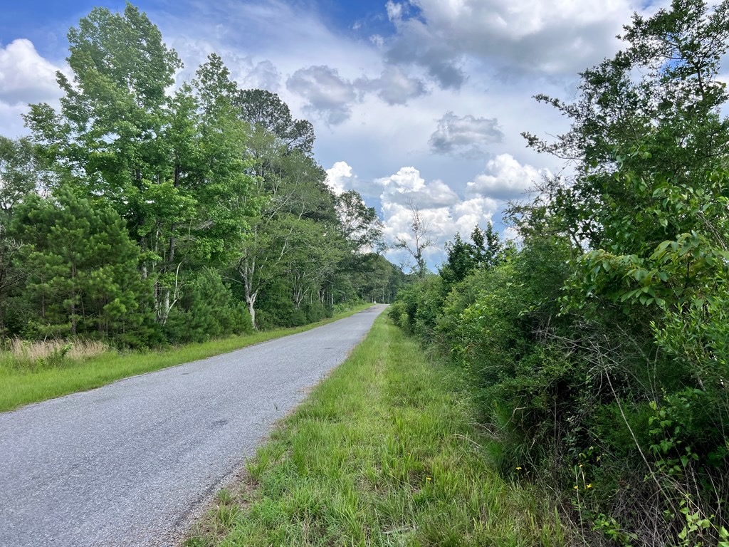 Land for Sale in Amite County, MS