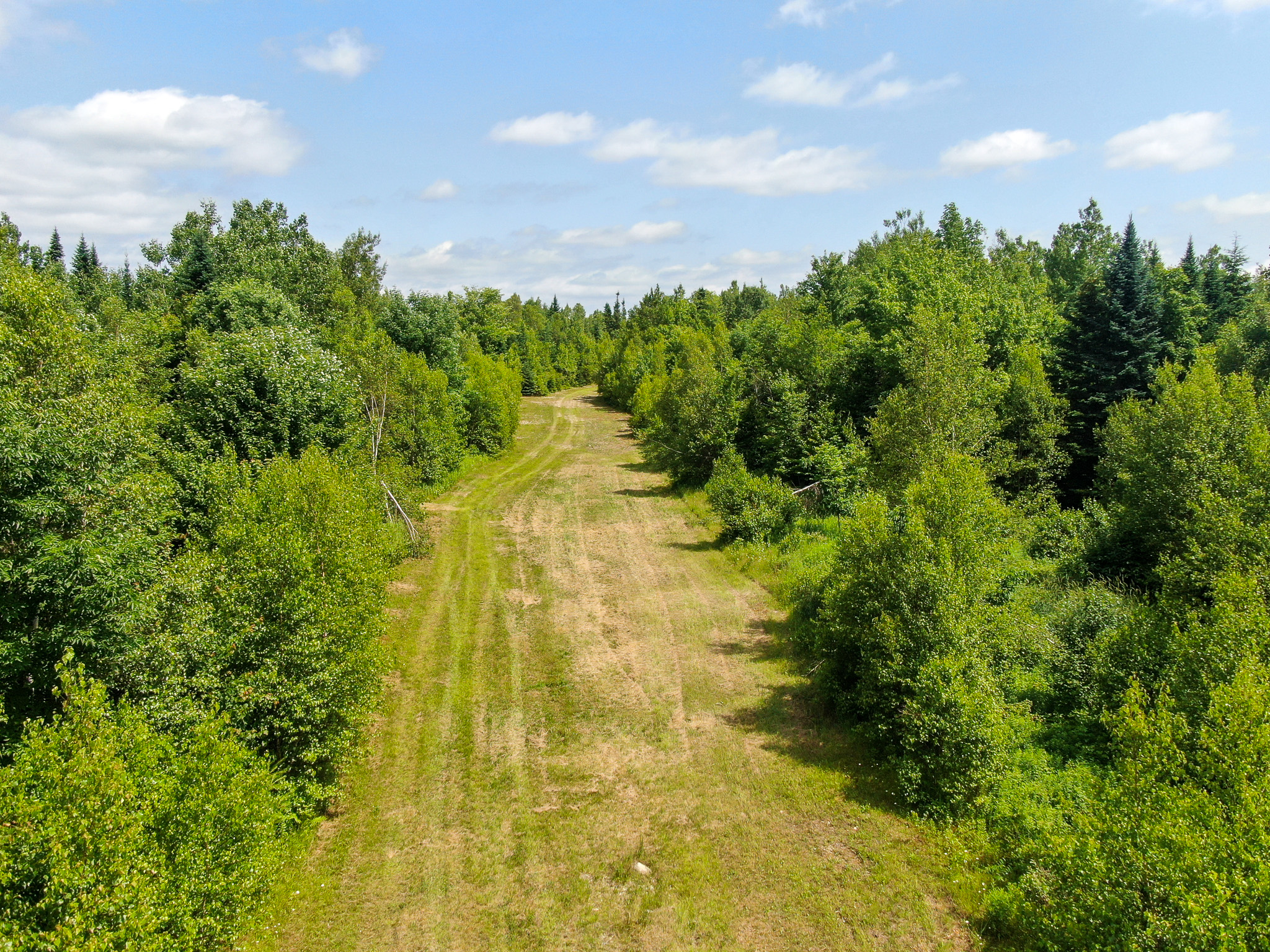 Maine Hunting and Recreational Timberland for Sale | 152± Acres in Carroll Plantation