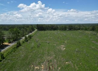 Land for Sale in Amite County, MS