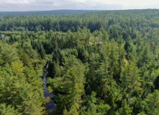 Remote Maine Hunting Camp with Stream Frontage