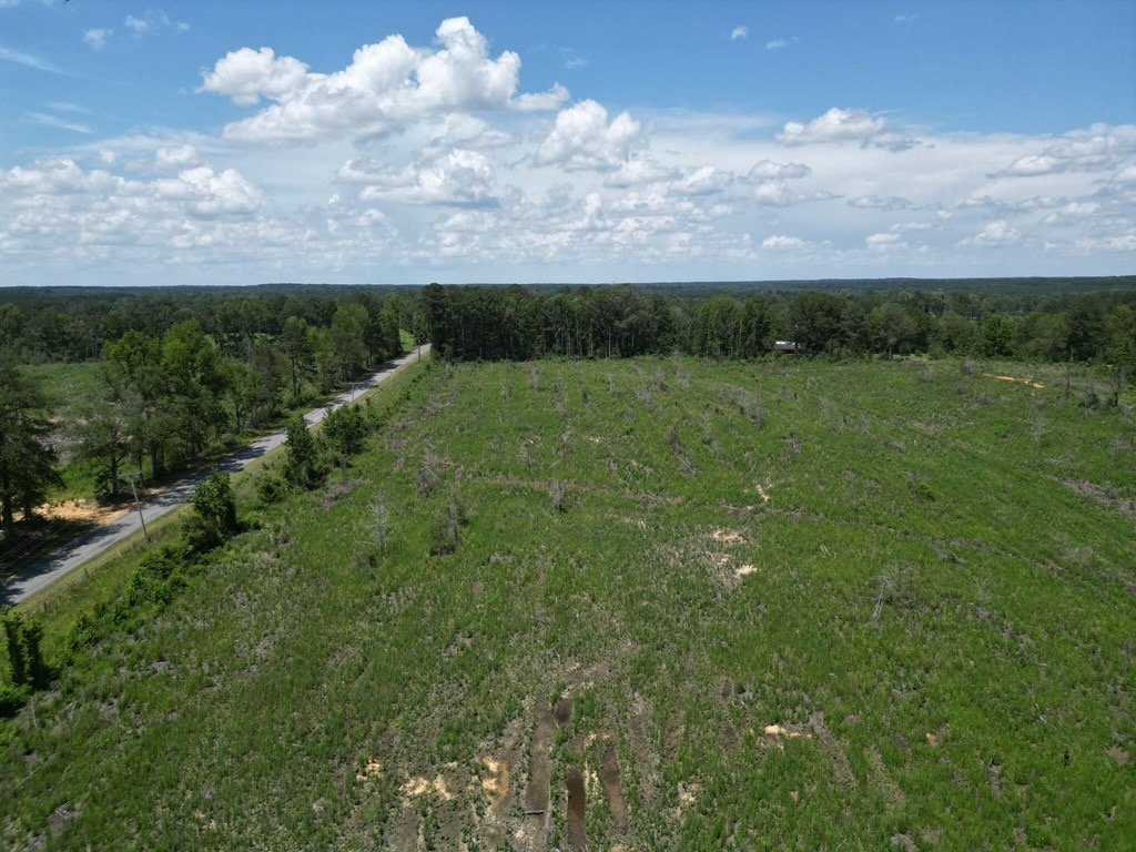 Land for Sale in Amite County, MS