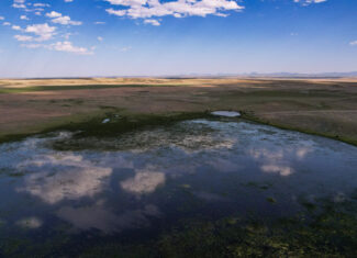 Golden Triangle Farm & Ranch in Hill County, Montana
