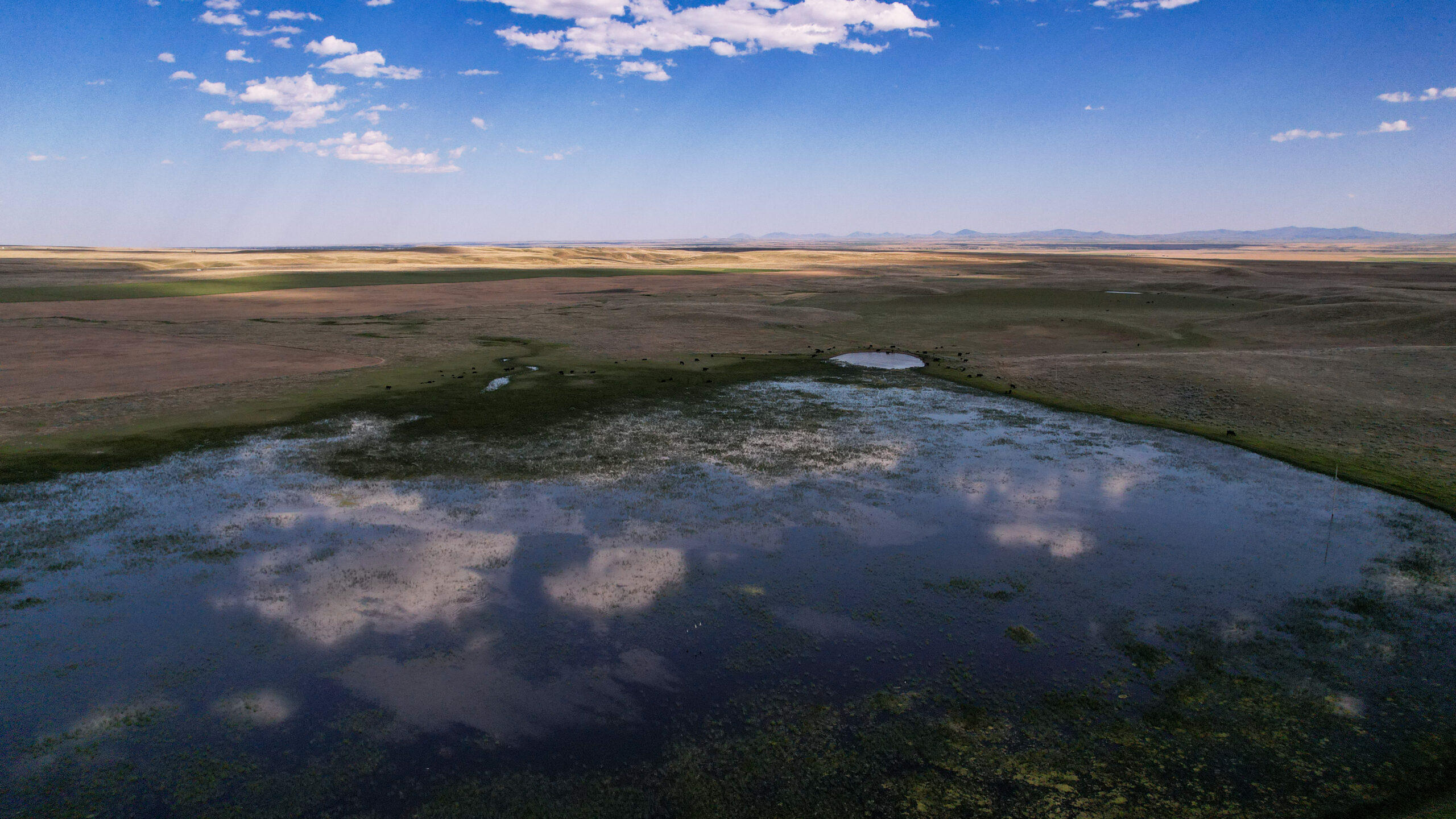 Golden Triangle Farm & Ranch in Hill County, Montana