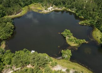 Clear Lake Land in East Feliciana Parish, Louisiana