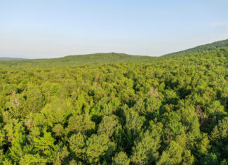 Off-Grid Cabin with 150± Acres Bordering Mount Chase