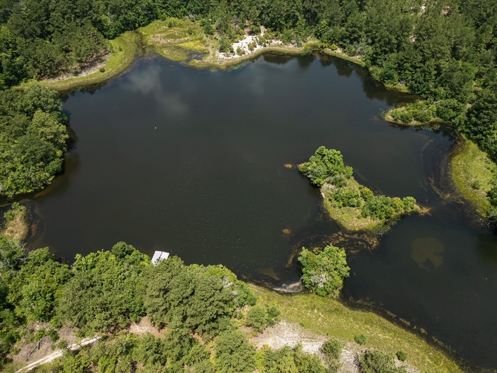Clear Lake Land in East Feliciana Parish, Louisiana