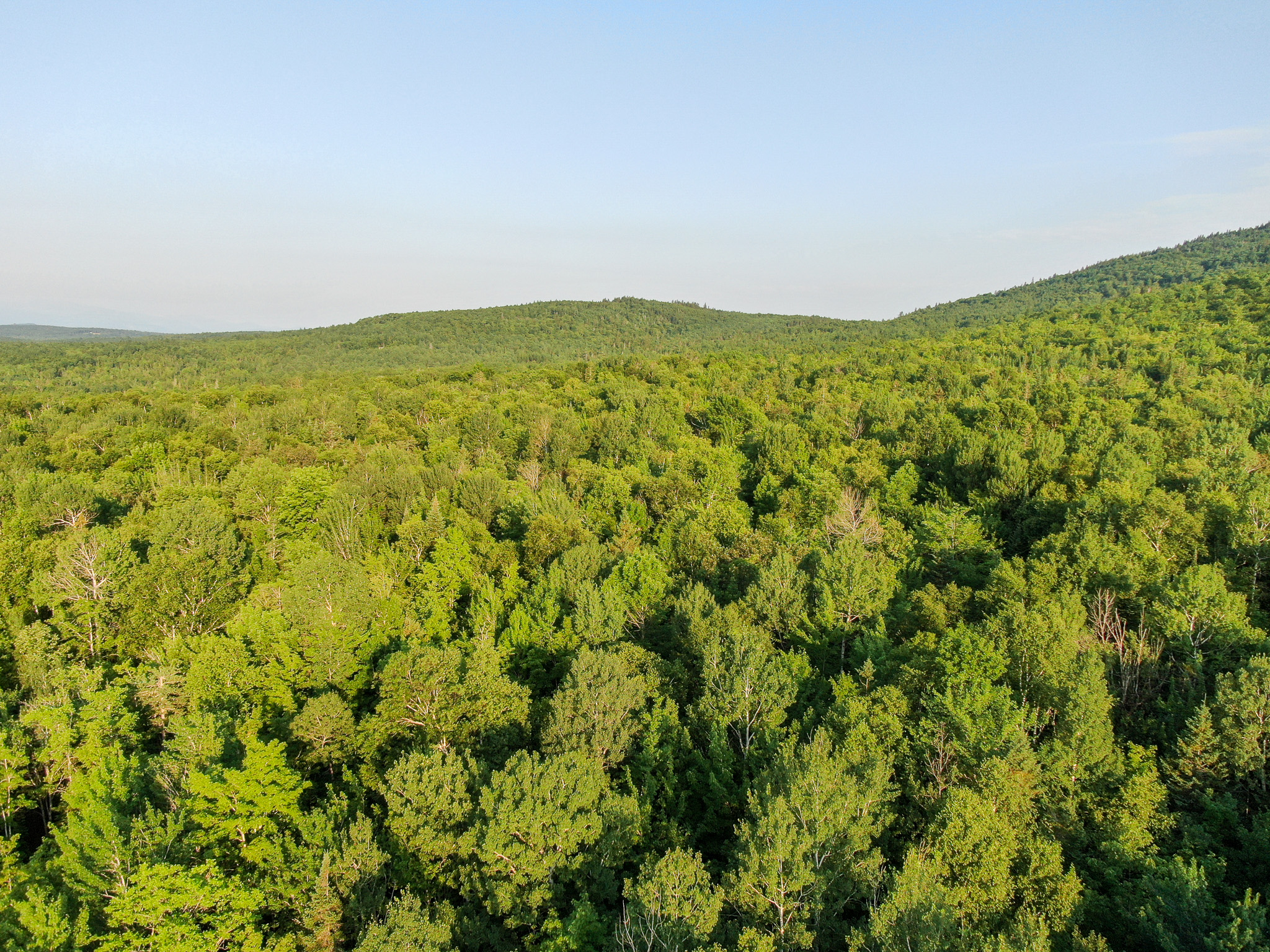 Off-Grid Cabin with 150± Acres Bordering Mount Chase