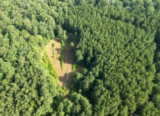 Hunting Land in Woodville, MS – 125 Acres for Sale