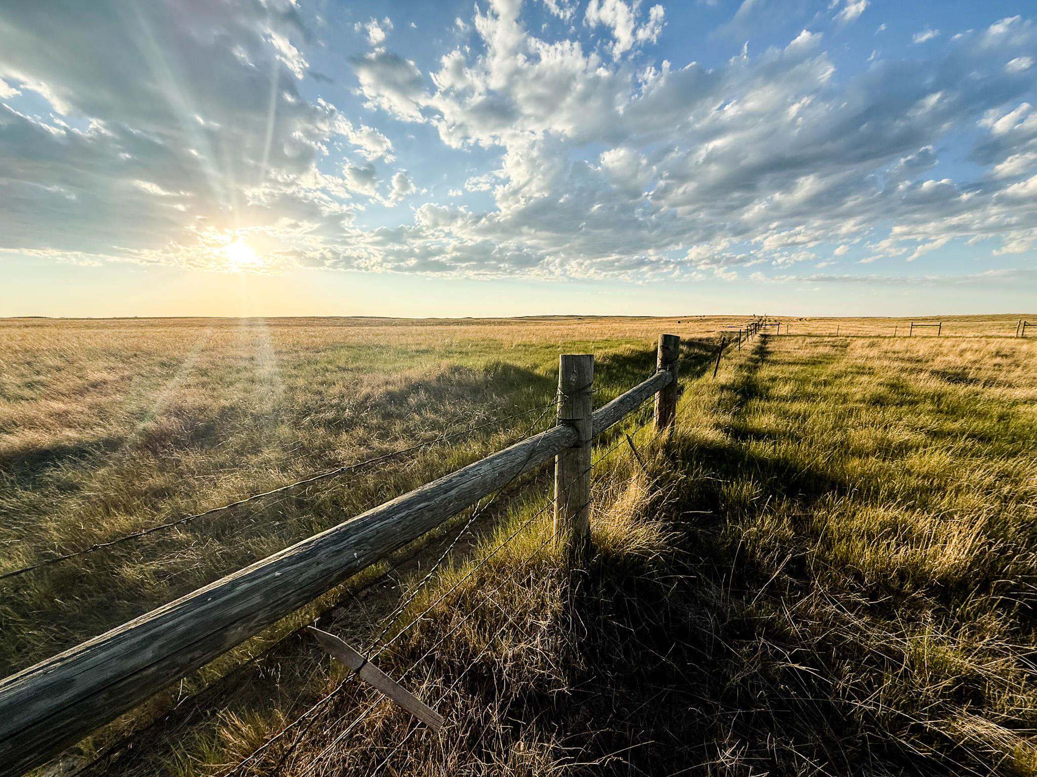 Norman Mavencamp Ranch