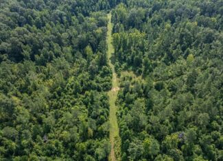 Hunting Land in Claiborne County, MS – The Reagan Tract