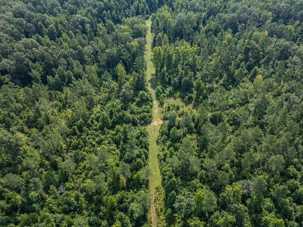 Hunting Land in Claiborne County, MS – The Reagan Tract