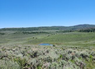 Colorado Hunting and Recreation Land