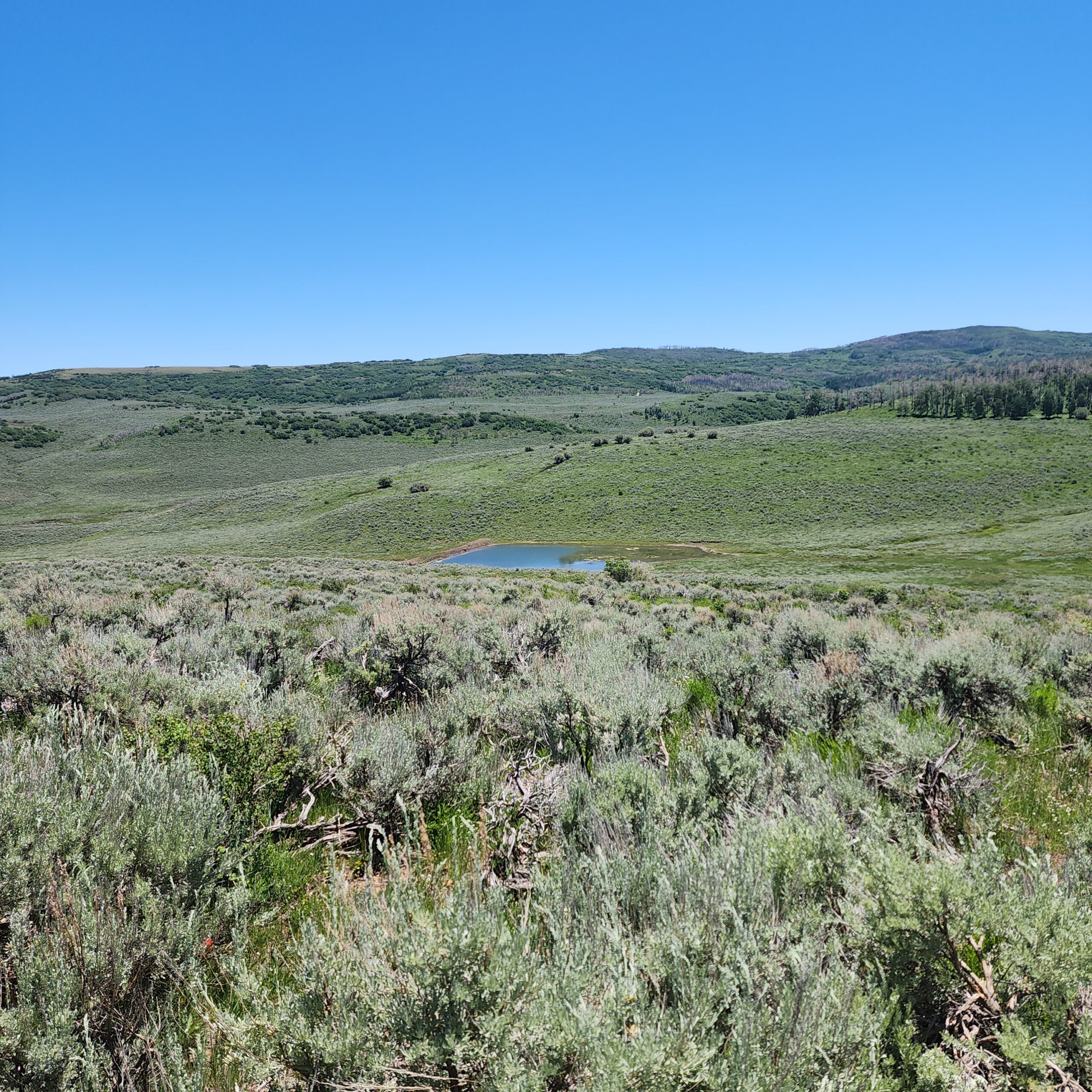 Colorado Hunting and Recreation Land