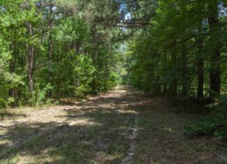 Lapine 216 Multi Use Recreational Timber – Ouachita Parish