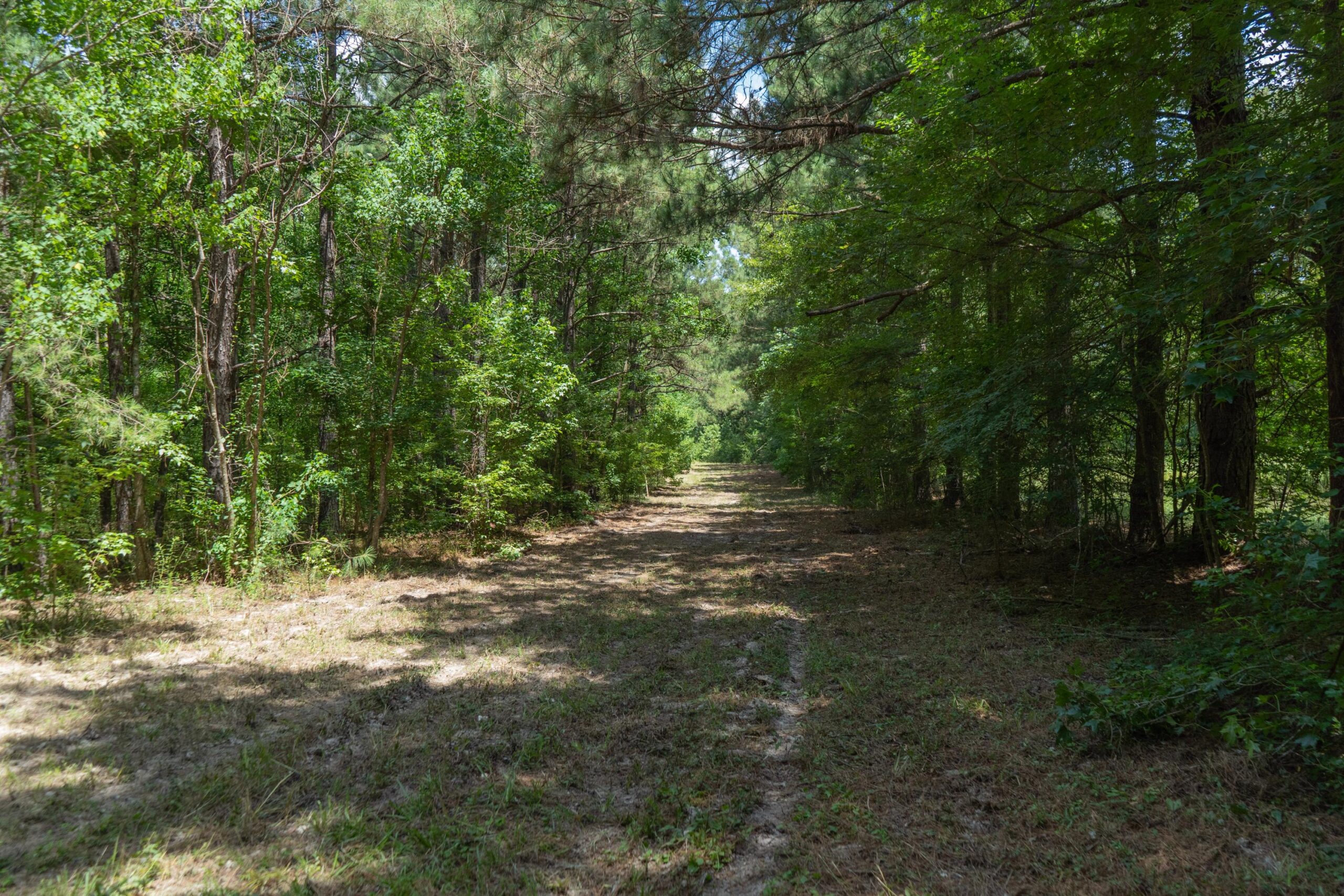 Lapine 216 Multi Use Recreational Timber – Ouachita Parish