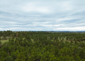 Windancer Ranch | | Custer, Montana