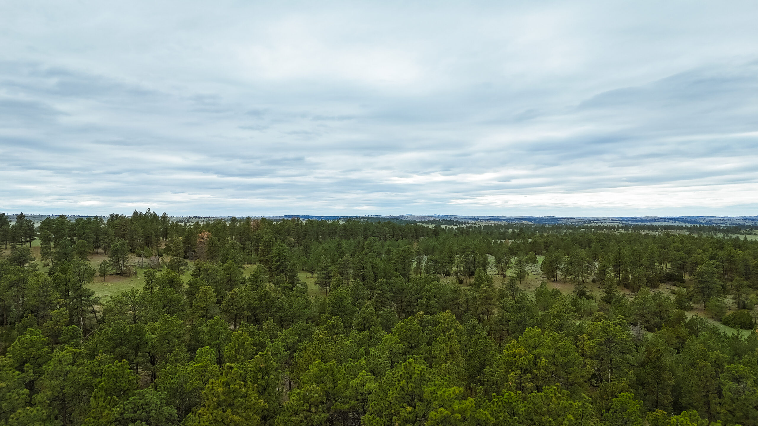 Windancer Ranch | | Custer, Montana
