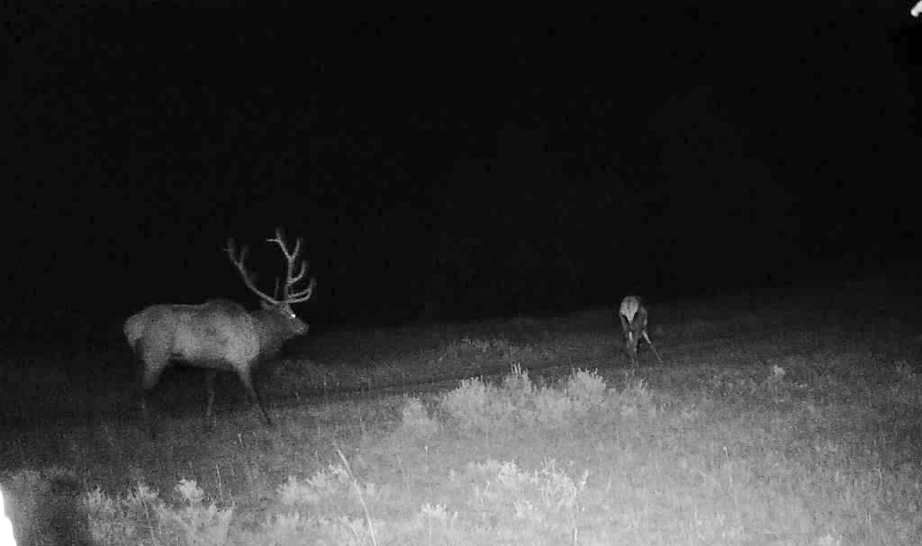 Pine Ridge Sanctuary-Premier Montana Hunting Land near Billings