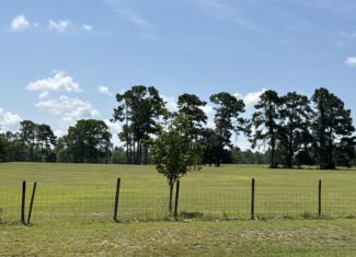 47.7 Acres with Custom Home & Abundant Wildlife