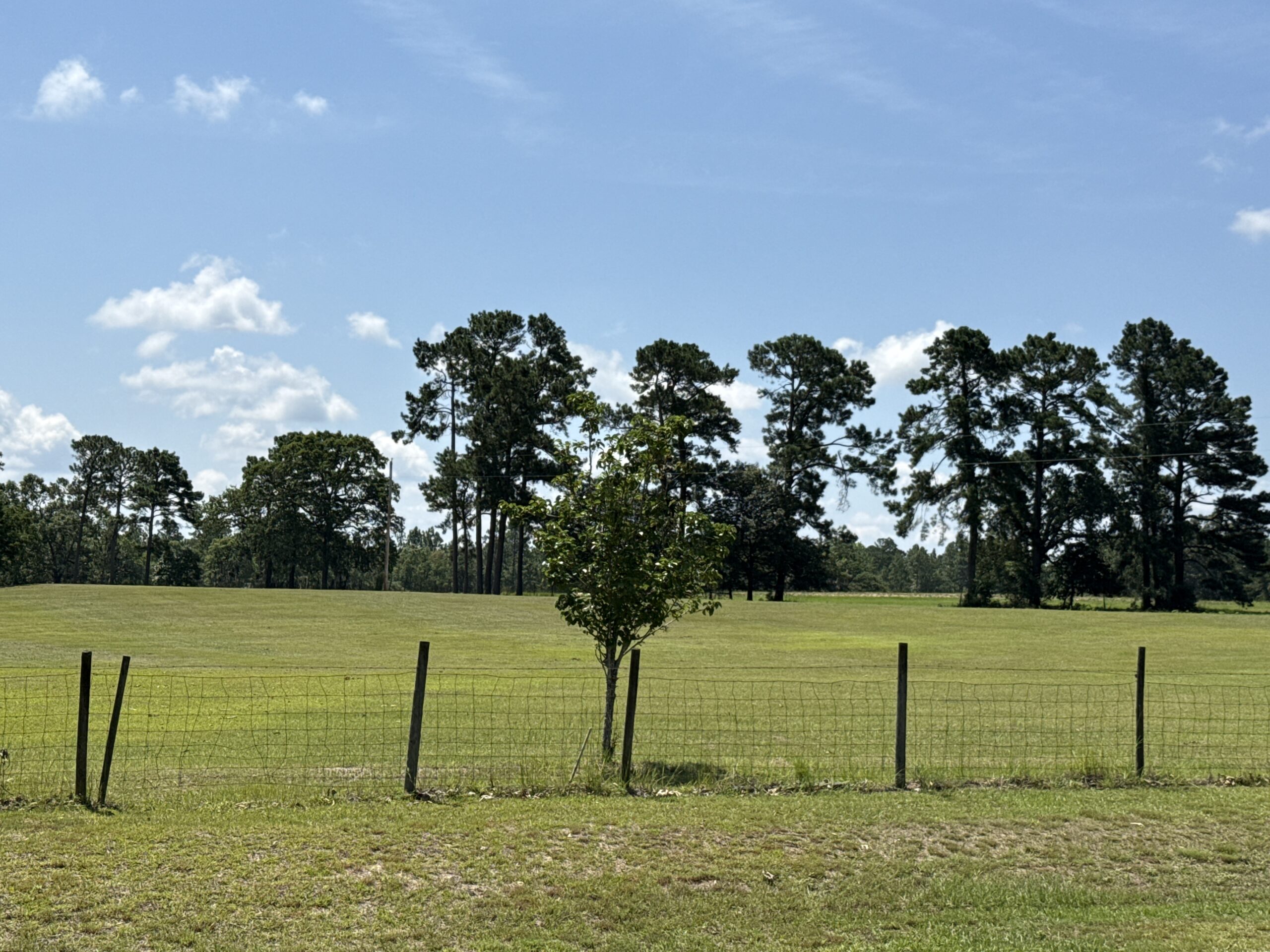 47.7 Acres with Custom Home & Abundant Wildlife