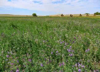 East Malta Irrigated Farm & Ranch – The Hould Property