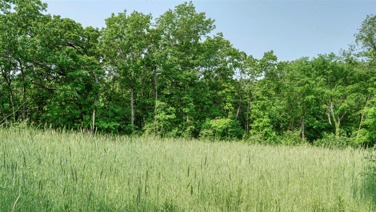 Twenty-One-Acre Hidden Gem in Vernon County WI