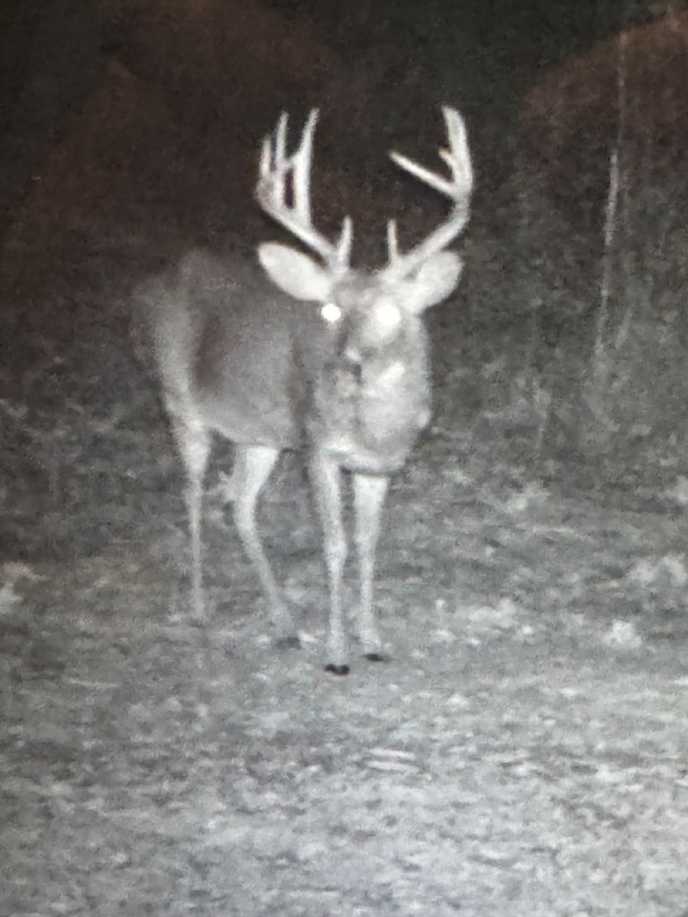 Hunting Land in Claiborne County, MS – The Reagan Tract