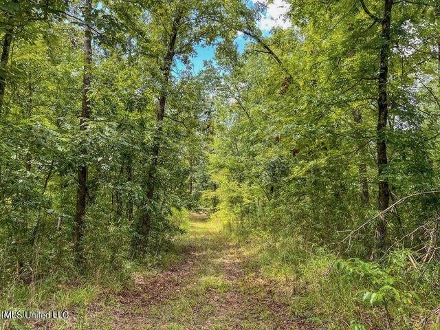 95 Acres of Prime Hunting Property in Hinds County
