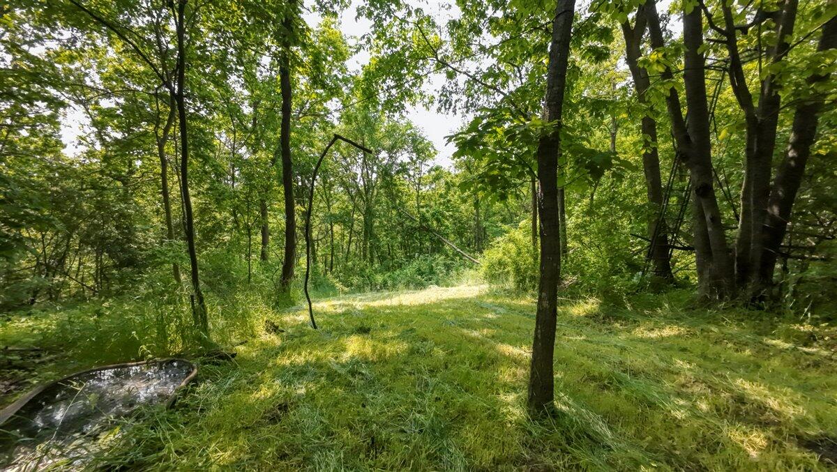 Twenty-One-Acre Hidden Gem in Vernon County WI