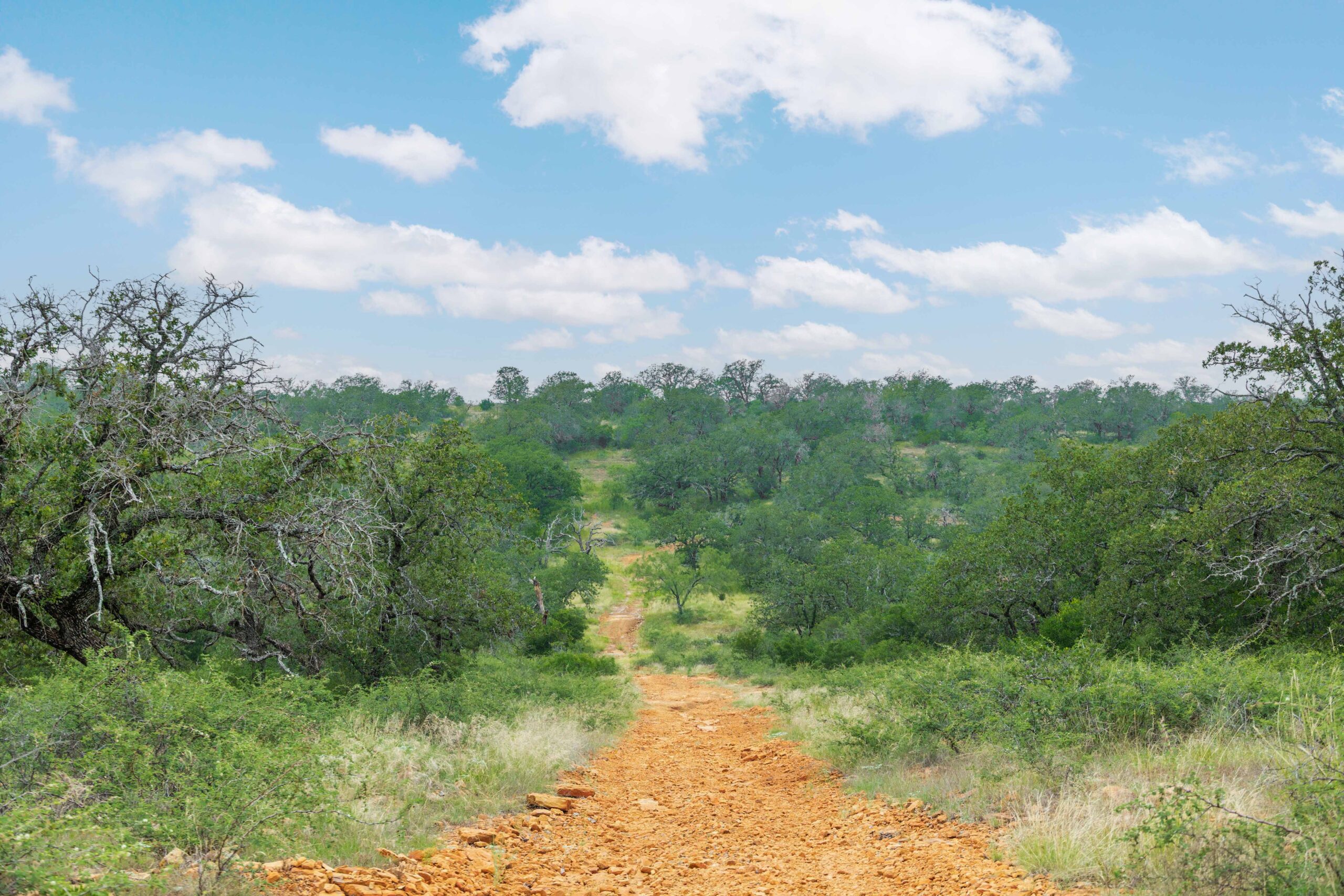 Country Ranch and hunting paradise on 333.17 acres in San Saba County for sale