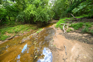 Land For Sale Barton County, MO 160± acres
