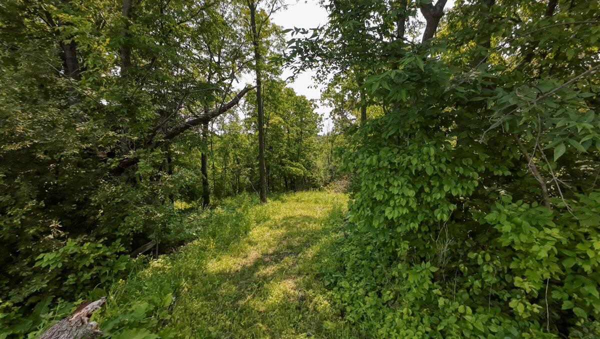 Twenty-One-Acre Hidden Gem in Vernon County WI