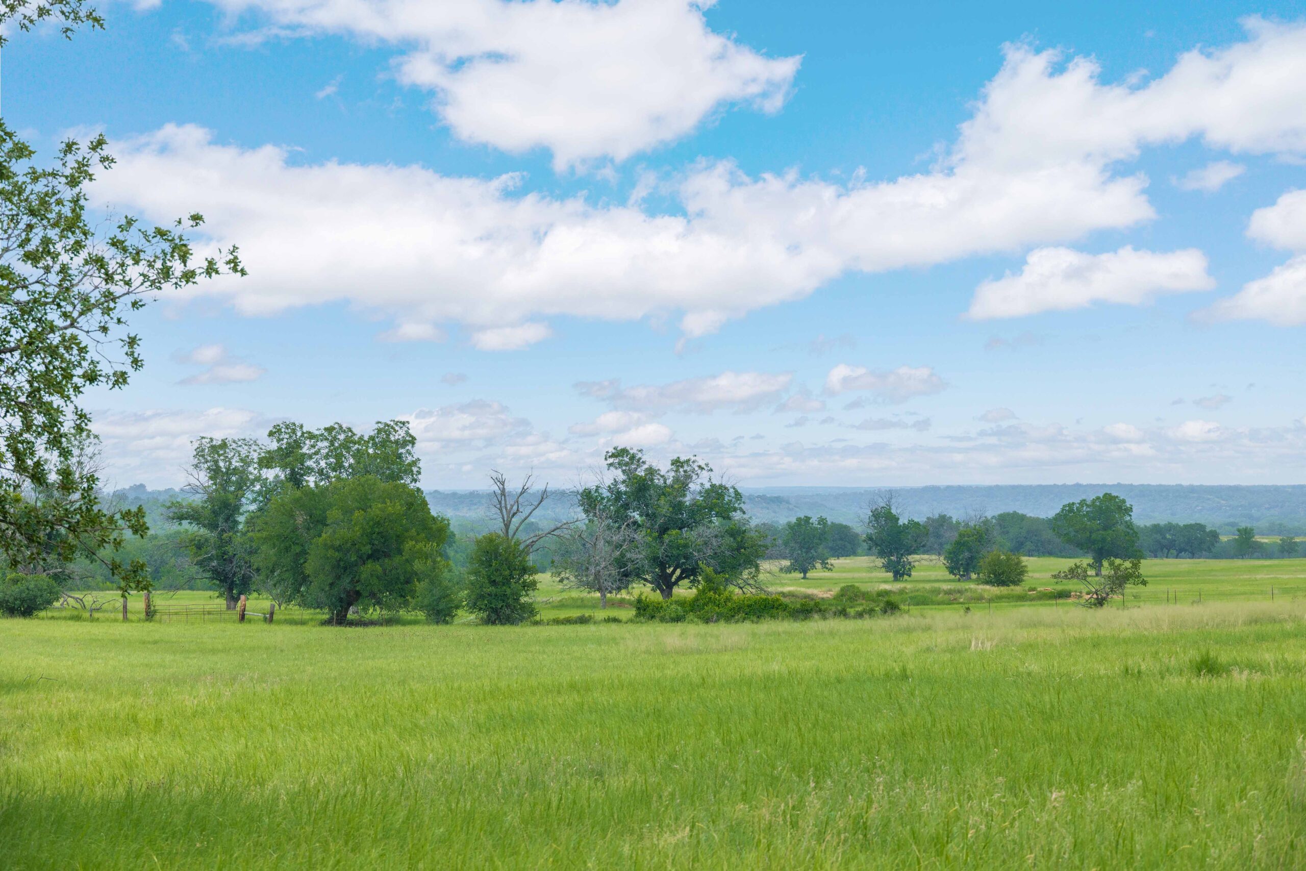 Country Ranch and hunting paradise on 333.17 acres in San Saba County for sale