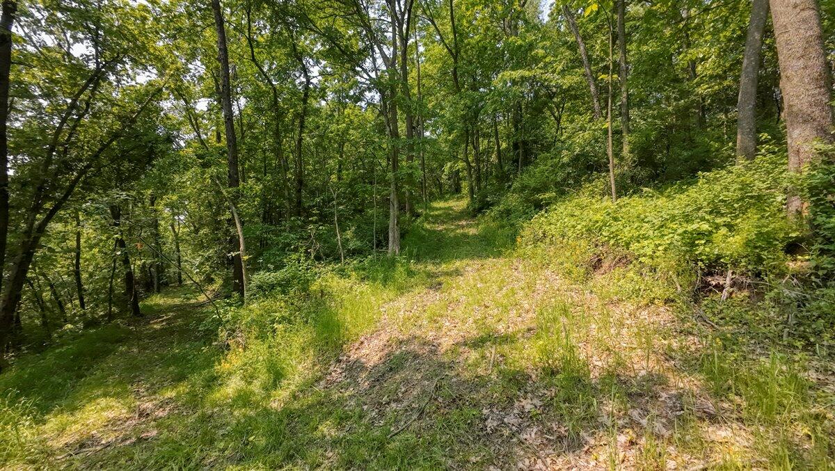 Twenty-One-Acre Hidden Gem in Vernon County WI