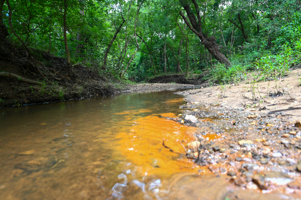 Land For Sale Barton County, MO 160± acres