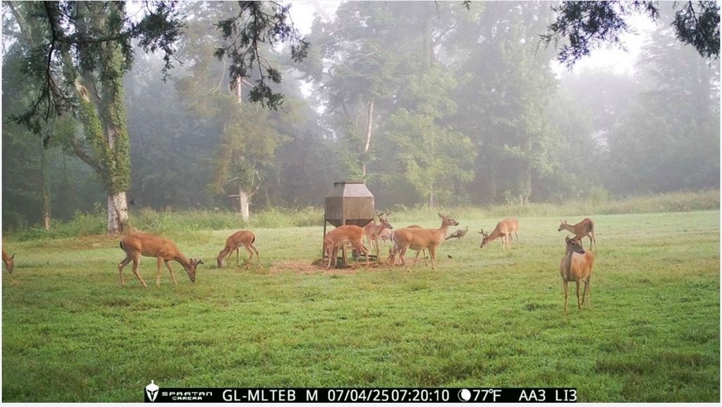 Hunting Land in Claiborne County, MS – The Reagan Tract
