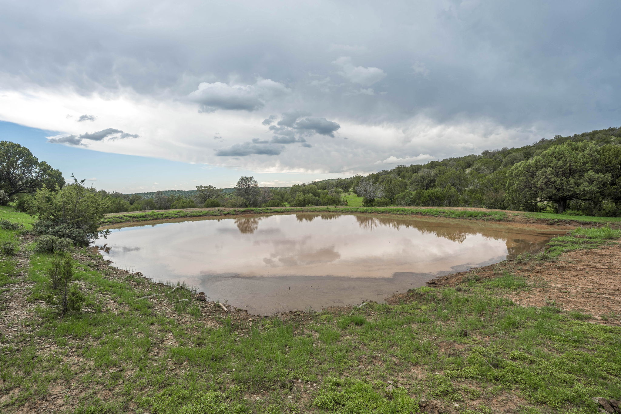 Cattle & Hunting Ranch for Sale in Weed, NM