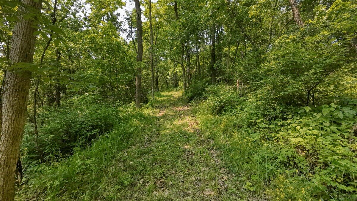 Twenty-One-Acre Hidden Gem in Vernon County WI