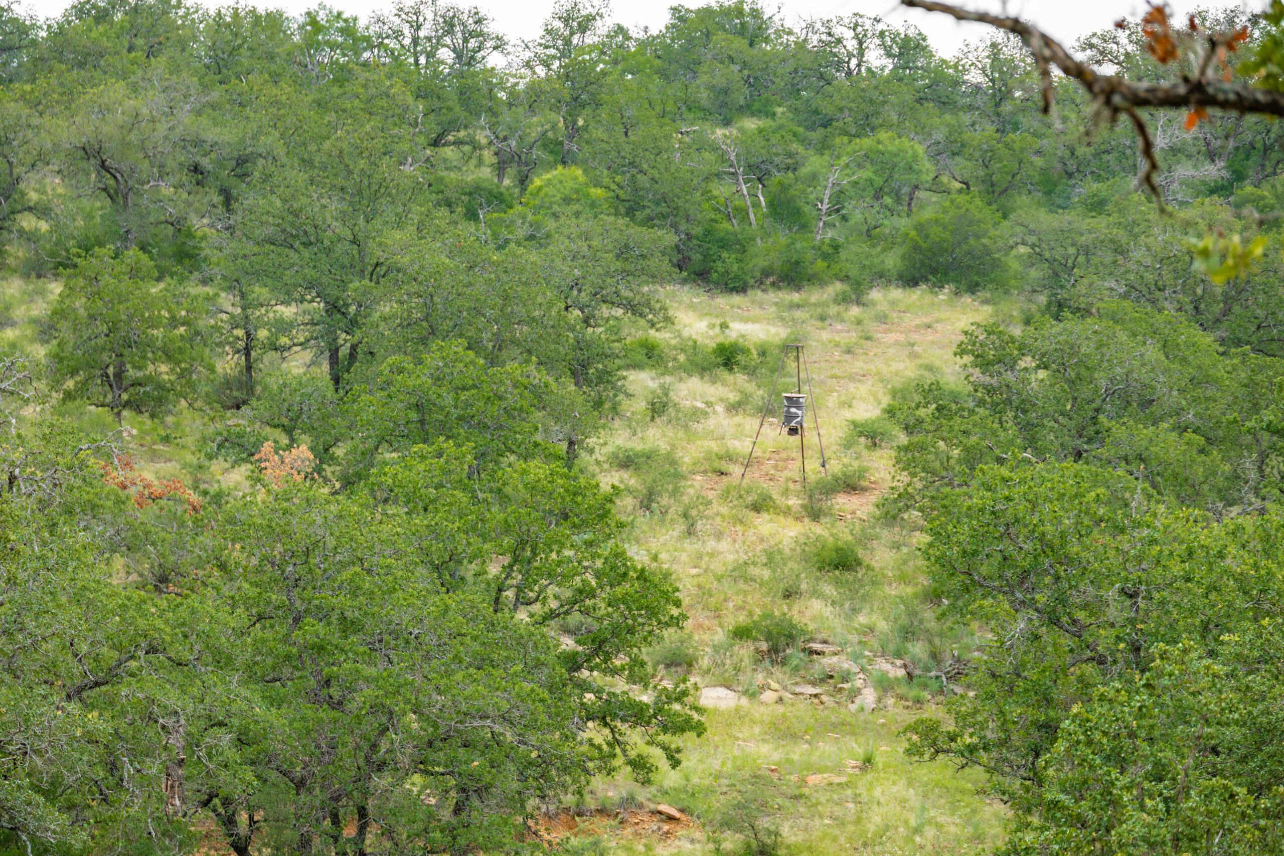 Country Ranch and hunting paradise on 333.17 acres in San Saba County for sale