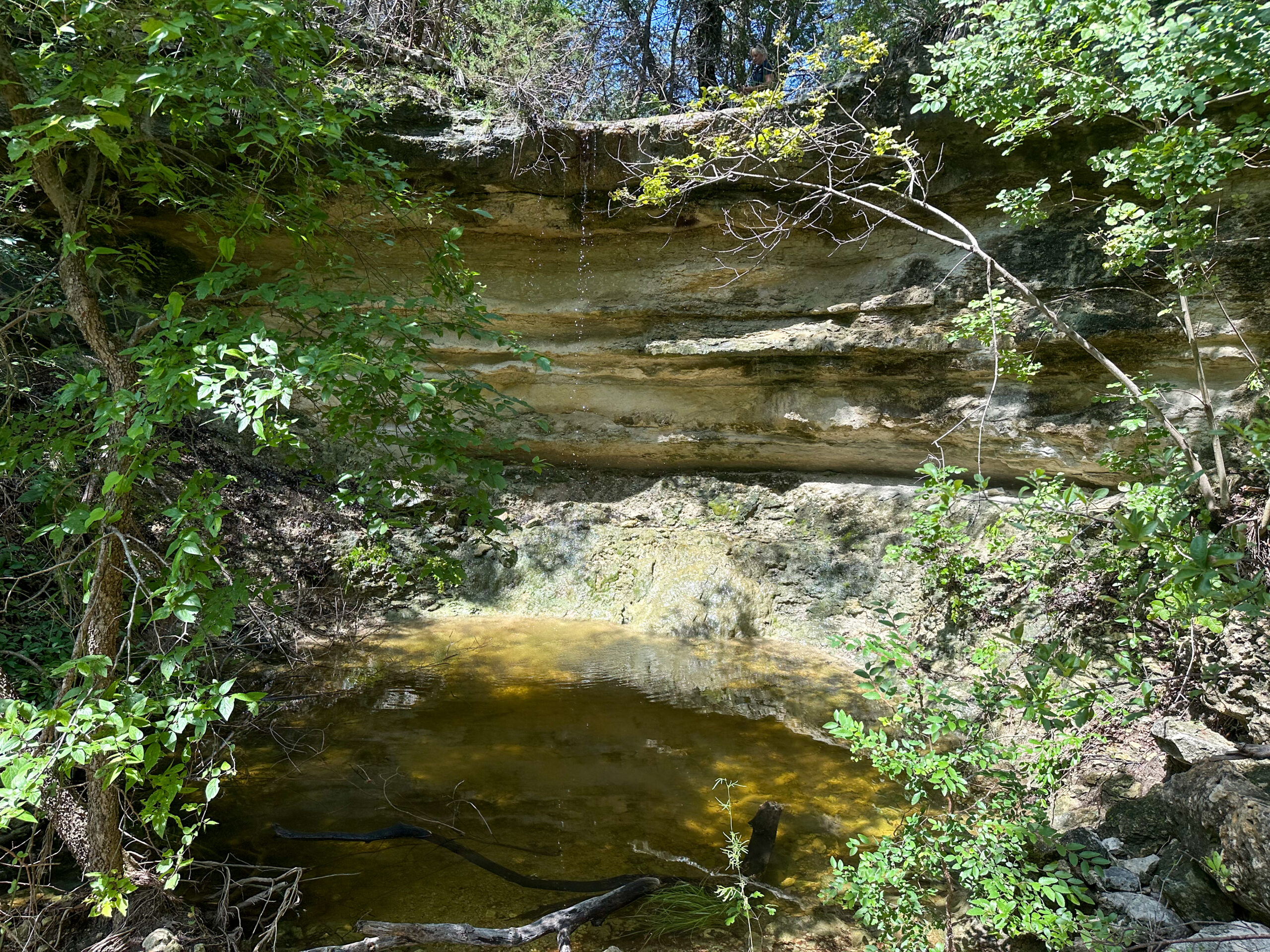 214±-Acre Luxury Texas Hill Country Ranch with 1,600′ Leon River Frontage near Gatesville