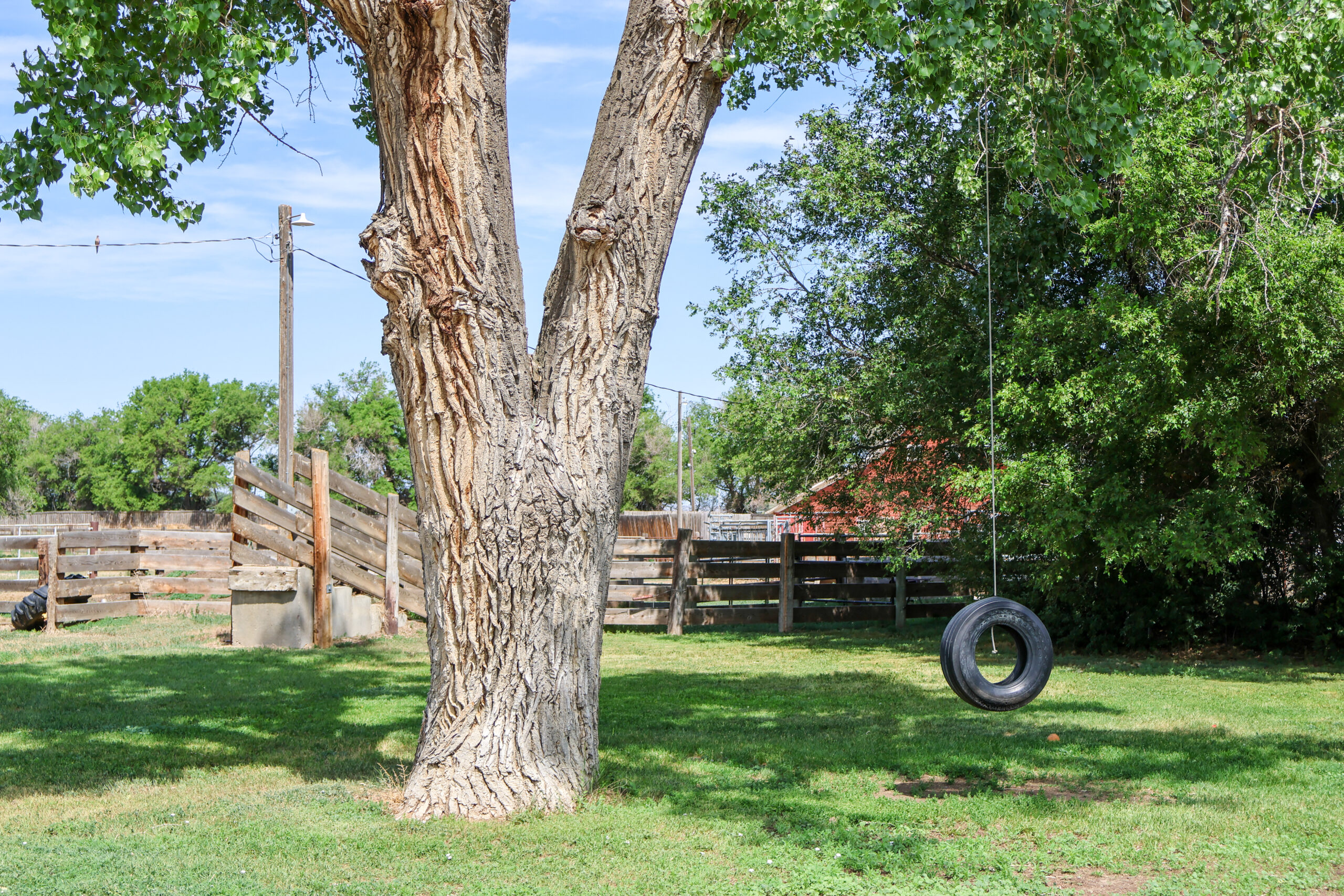 East Malta Irrigated Farm & Ranch – The Hould Property