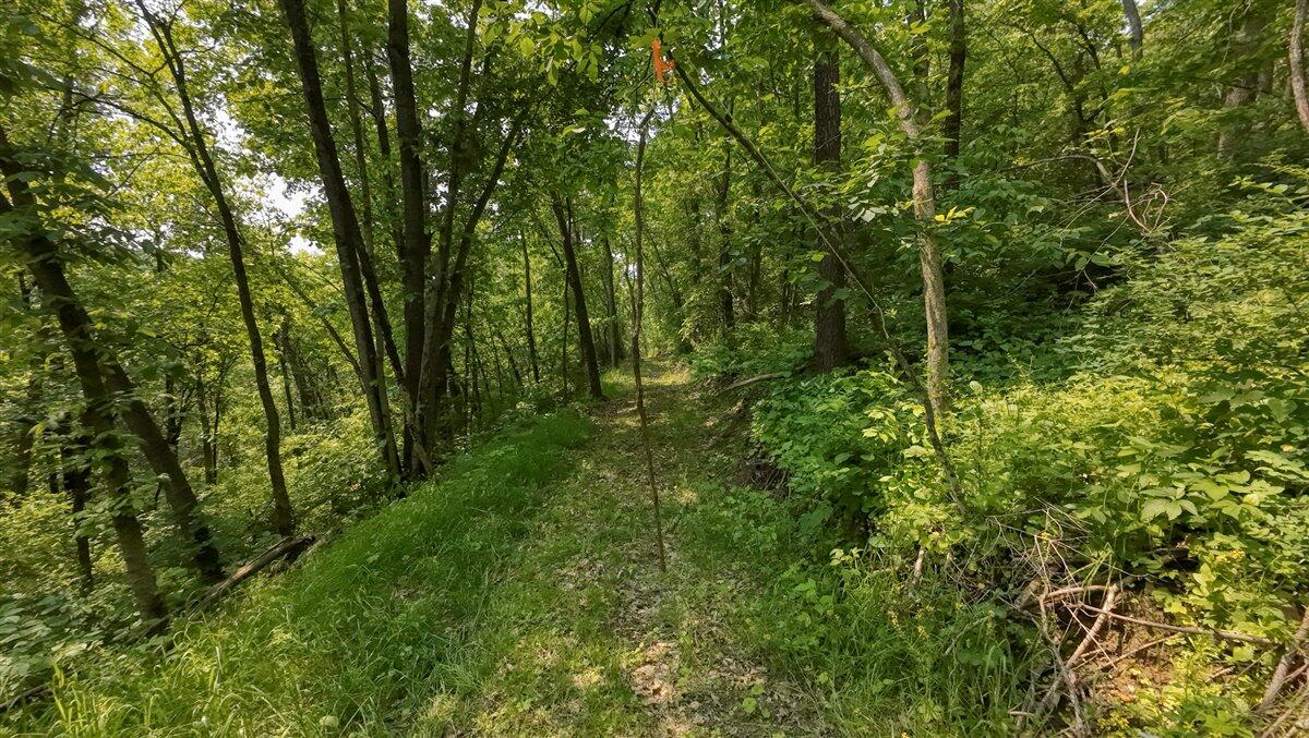Twenty-One-Acre Hidden Gem in Vernon County WI