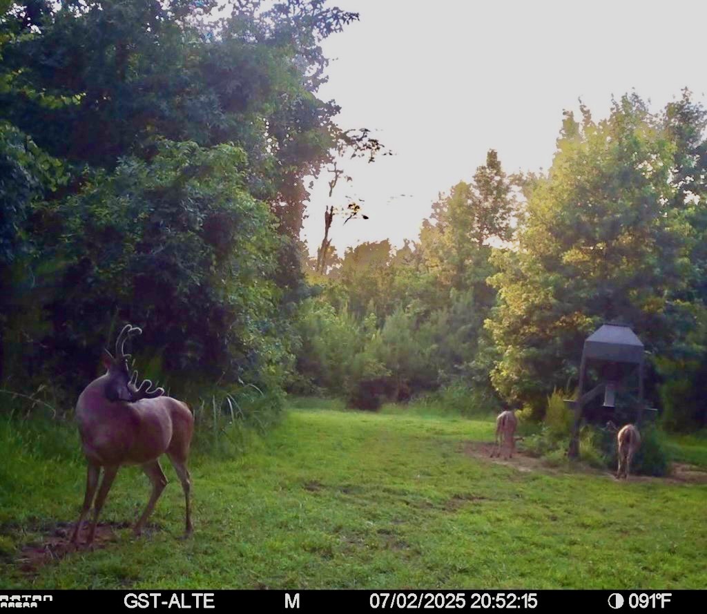 Hunting Land in Claiborne County, MS – The Reagan Tract