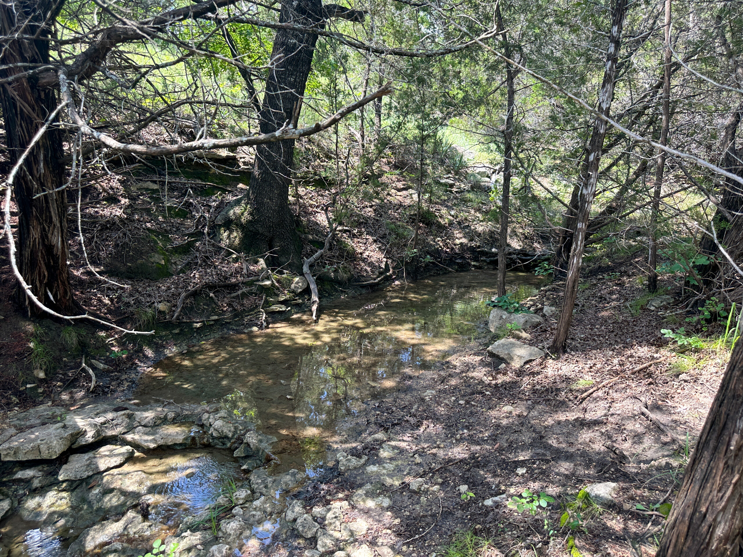 214±-Acre Luxury Texas Hill Country Ranch with 1,600′ Leon River Frontage near Gatesville