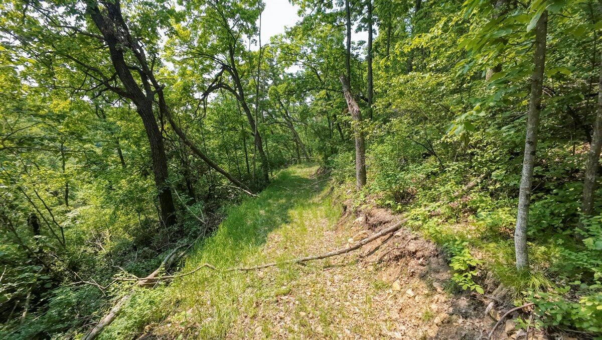 Twenty-One-Acre Hidden Gem in Vernon County WI
