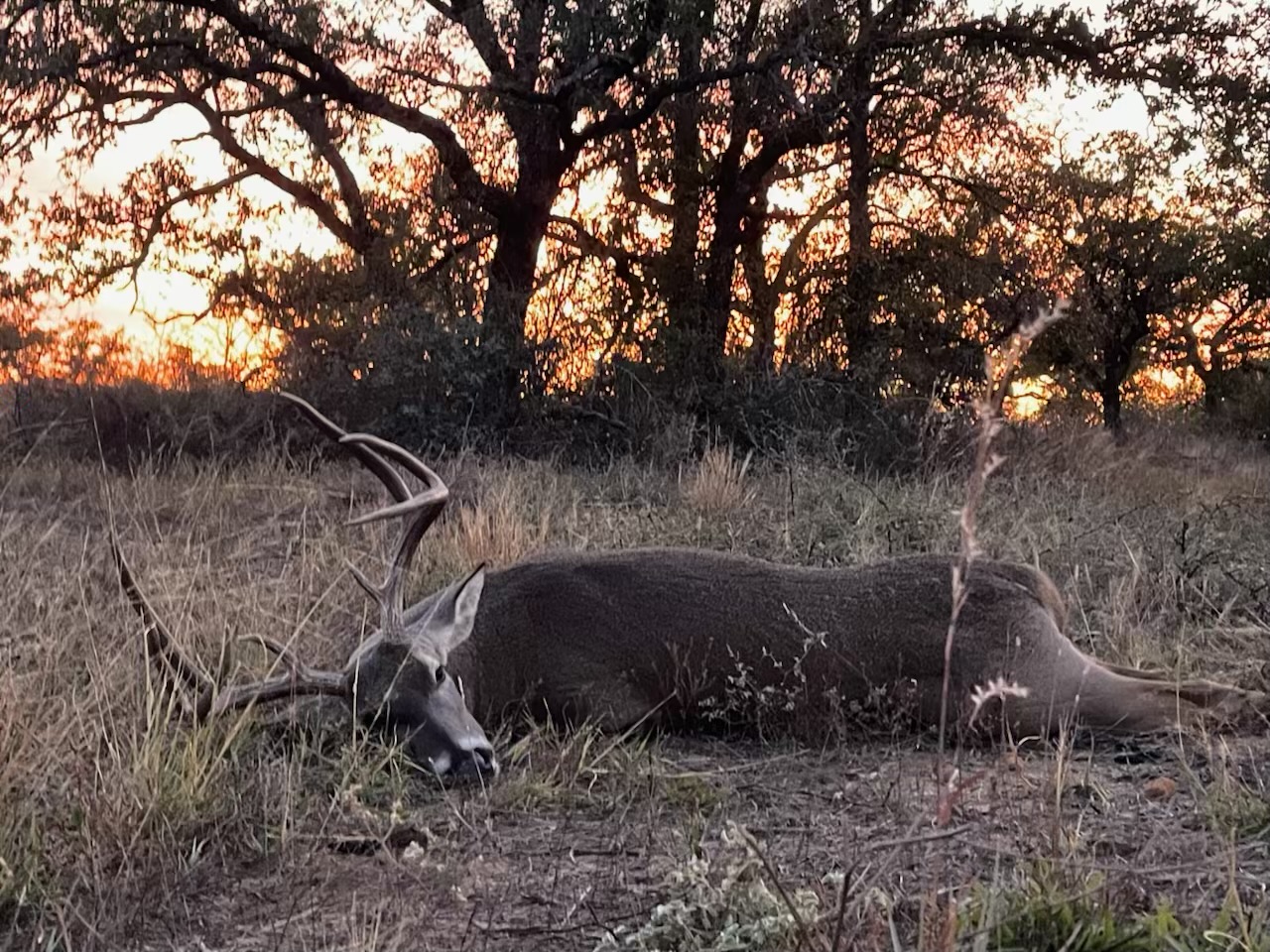 Country Ranch and hunting paradise on 333.17 acres in San Saba County for sale