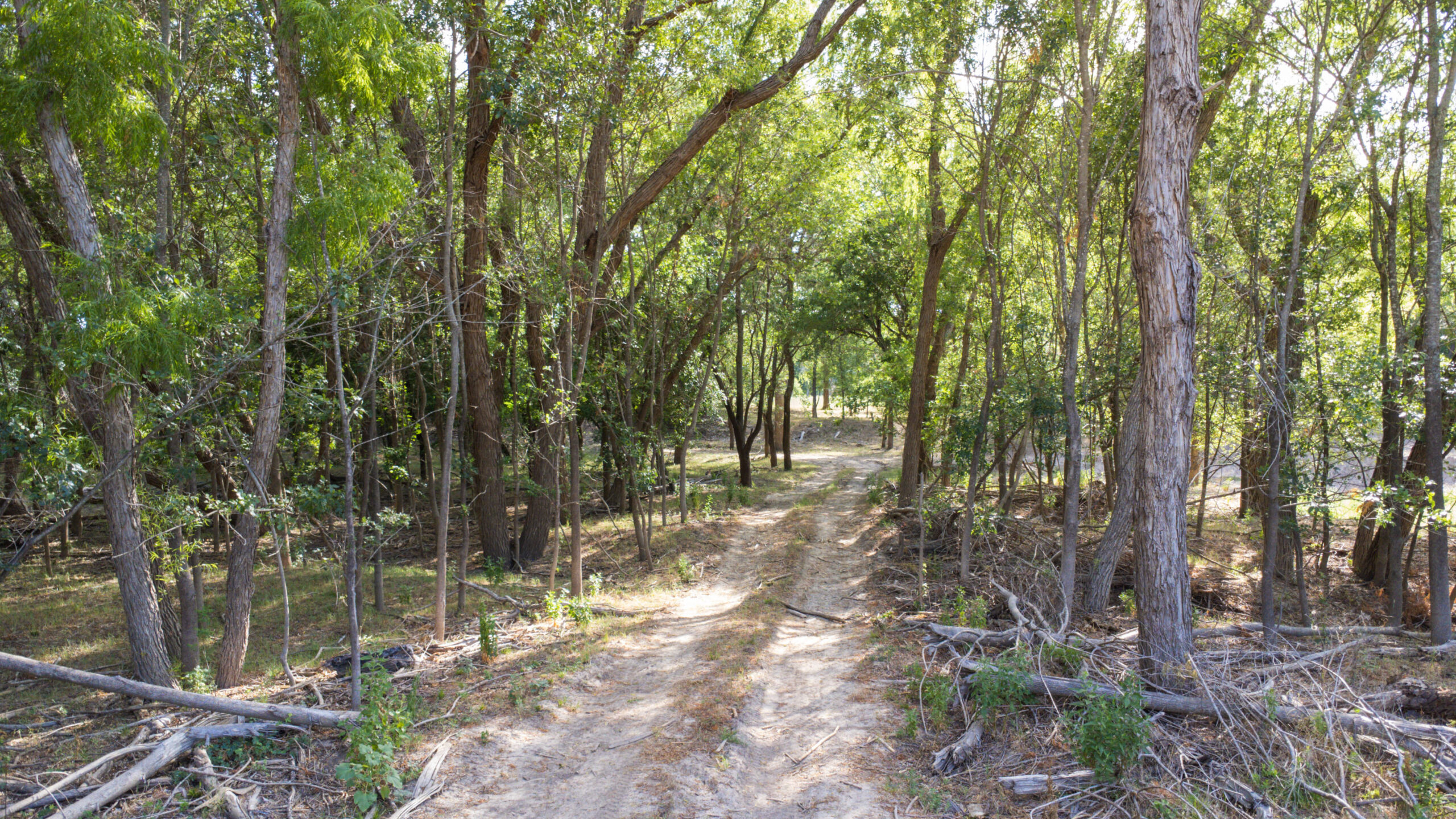 214±-Acre Luxury Texas Hill Country Ranch with 1,600′ Leon River Frontage near Gatesville