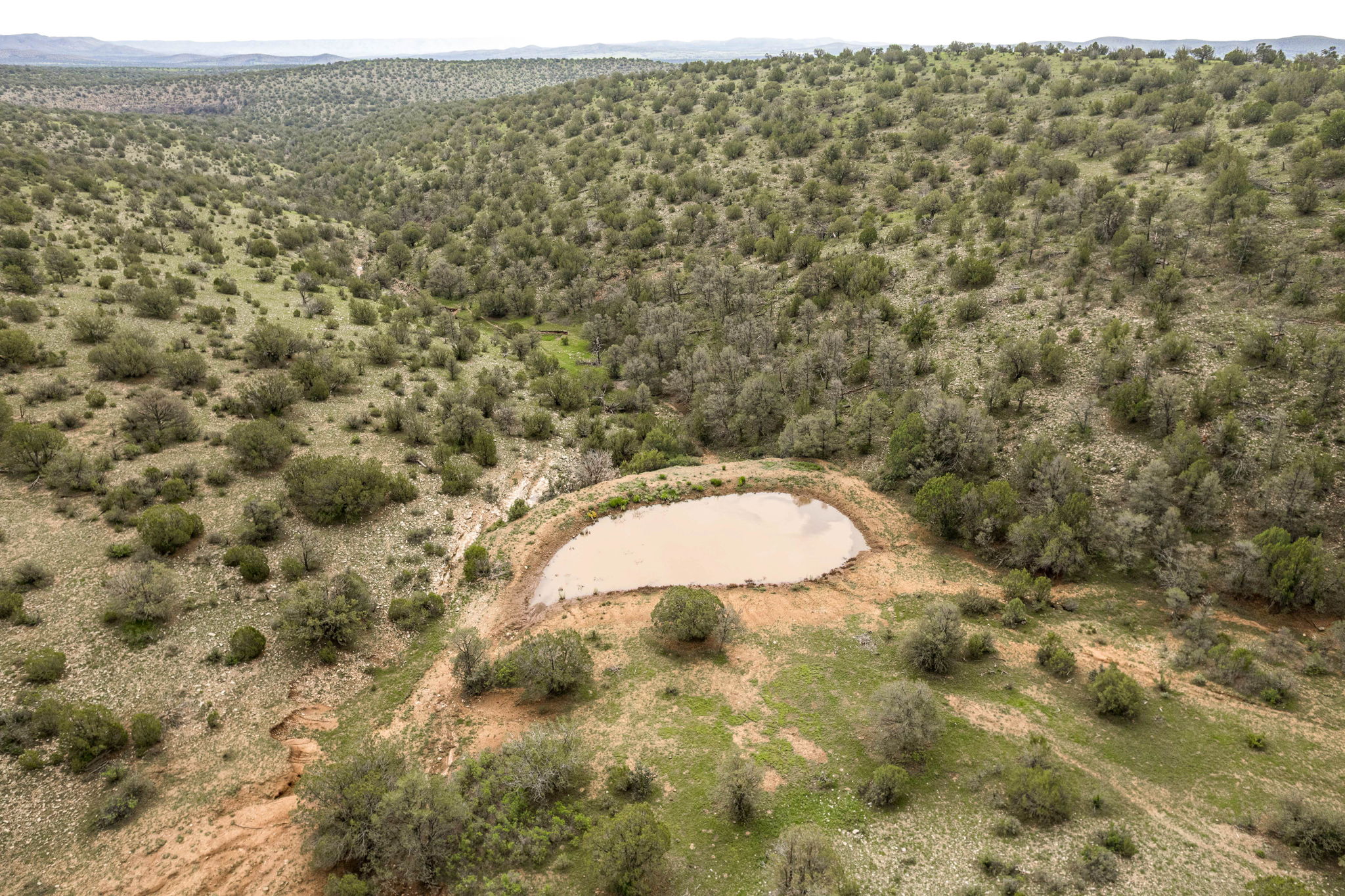 Cattle & Hunting Ranch for Sale in Weed, NM