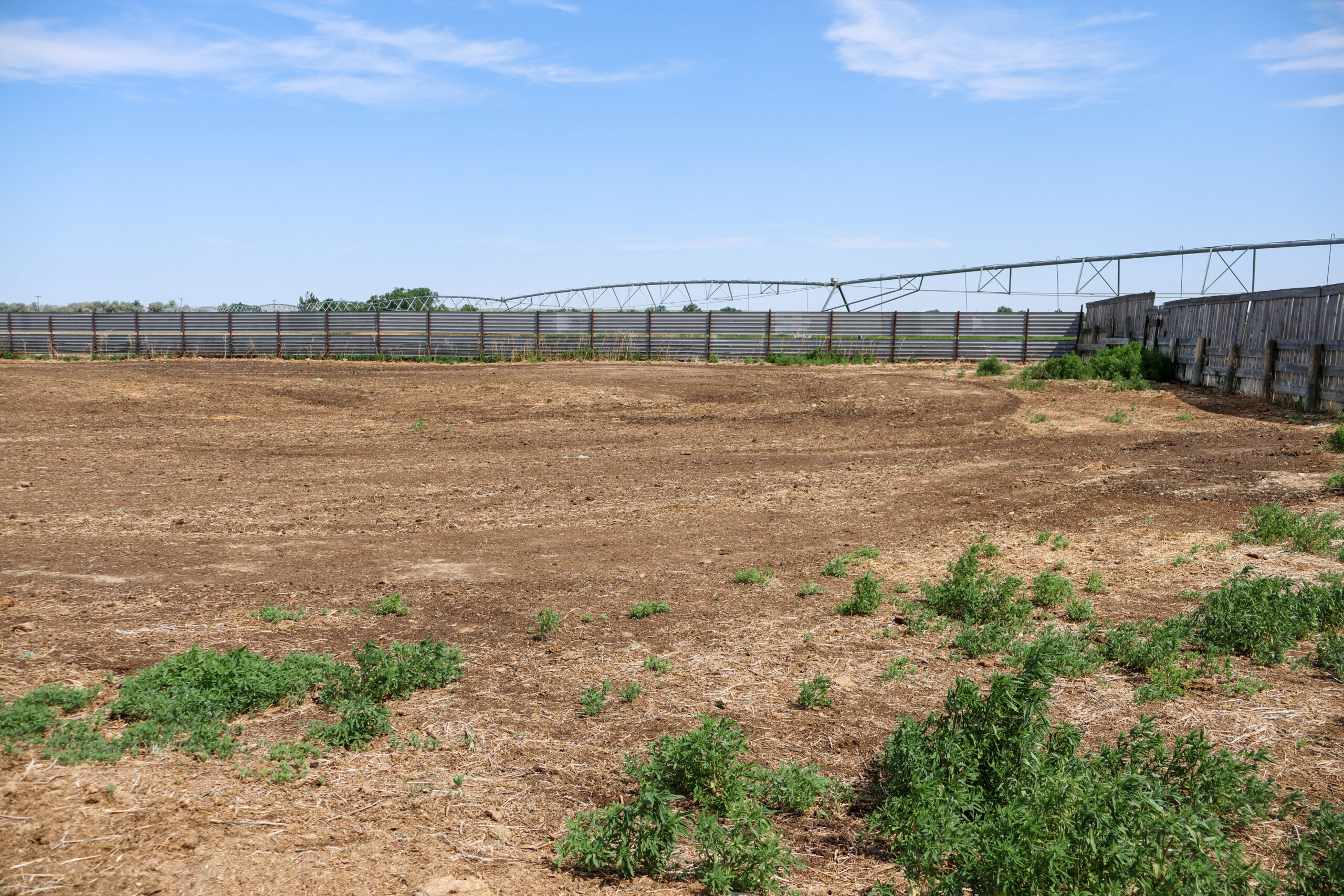 East Malta Irrigated Farm & Ranch – The Hould Property
