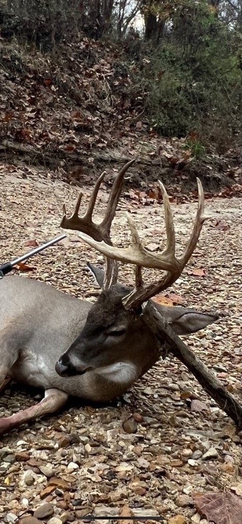 Hunting Land in Claiborne County, MS – The Reagan Tract